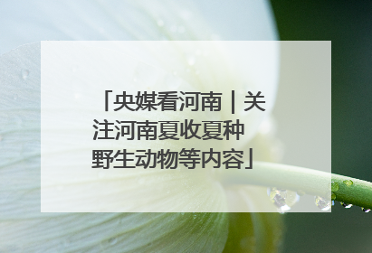 央媒看河南｜关注河南夏收夏种 野生动物等内容