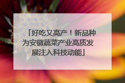 好吃又高产！新品种为安徽蔬菜产业高质发展注入科技动能