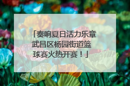 奏响夏日活力乐章 武昌区杨园街道篮球赛火热开赛！