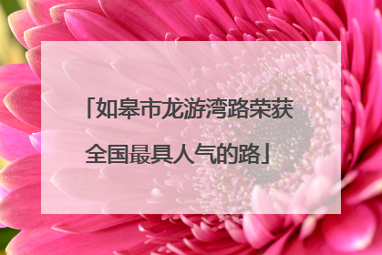 如皋市龙游湾路荣获全国最具人气的路