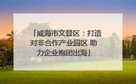 威海市文登区：打造对非合作产业园区 助力企业抱团出海
