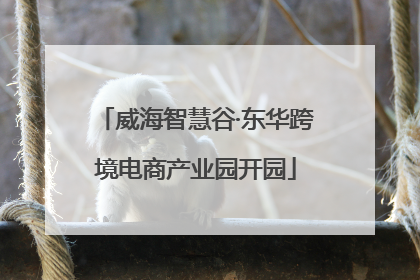 威海智慧谷·东华跨境电商产业园开园