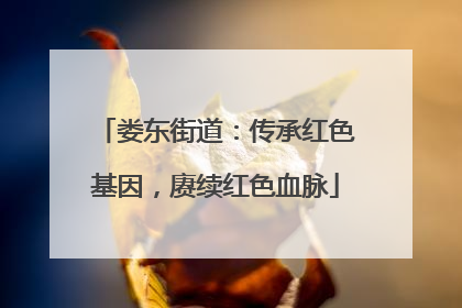 娄东街道：传承红色基因，赓续红色血脉