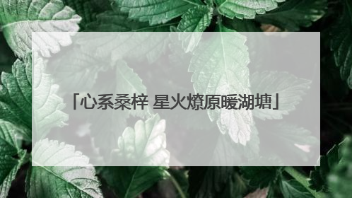 心系桑梓 星火燎原暖湖塘