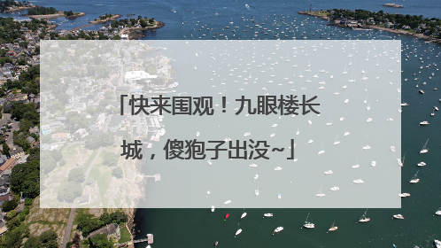 快来围观！九眼楼长城，傻狍子出没~