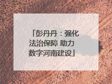 彭丹丹：强化法治保障 助力数字河南建设