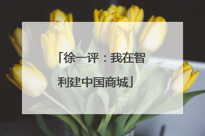 徐一评：我在智利建中国商城