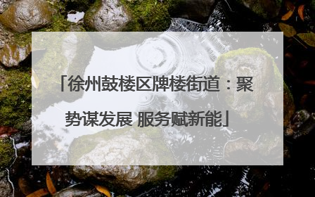 徐州鼓楼区牌楼街道：聚势谋发展 服务赋新能