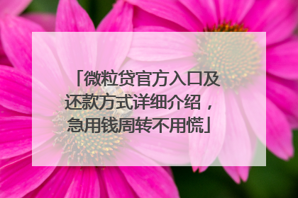 微粒贷官方入口及还款方式详细介绍，急用钱周转不用慌