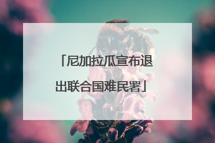 尼加拉瓜宣布退出联合国难民署
