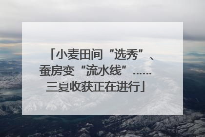 小麦田间“选秀”、蚕房变“流水线”……三夏收获正在进行