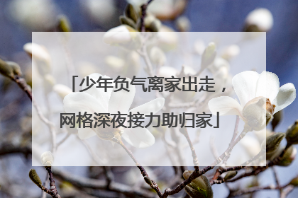 少年负气离家出走，网格深夜接力助归家