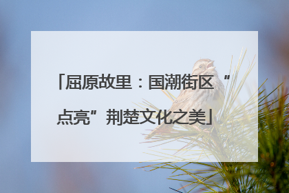 屈原故里：国潮街区“点亮”荆楚文化之美