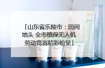 山东省乐陵市：田间地头 全市植保无人机劳动竞赛精彩纷呈