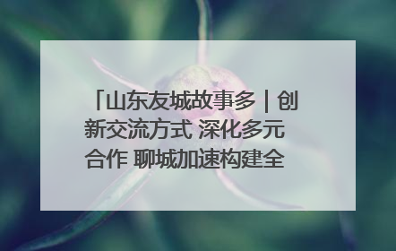 山东友城故事多｜创新交流方式 深化多元合作 聊城加速构建全球友城新格局