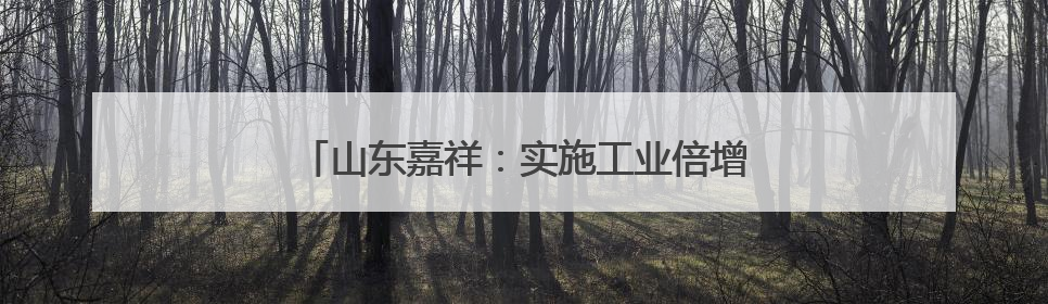 山东嘉祥：实施工业倍增 赋能经济高质量发展