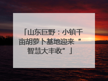 山东巨野：小镇千亩胡萝卜基地迎来“智慧大丰收”