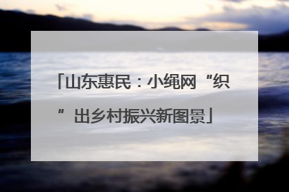 山东惠民：小绳网“织”出乡村振兴新图景