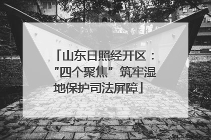 山东日照经开区：“四个聚焦”筑牢湿地保护司法屏障