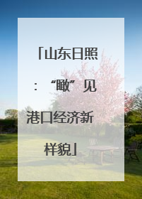 山东日照：“瞰”见港口经济新样貌