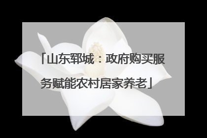 山东郓城：政府购买服务赋能农村居家养老