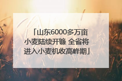 山东6000多万亩小麦陆续开镰 全省将进入小麦机收高峰期