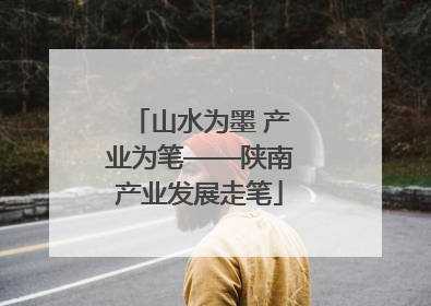 山水为墨 产业为笔——陕南产业发展走笔
