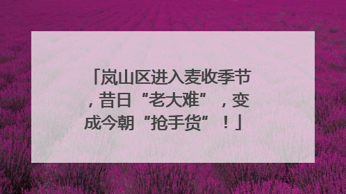 岚山区进入麦收季节，昔日“老大难”，变成今朝“抢手货”！