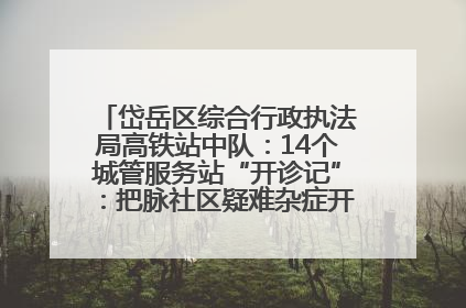 岱岳区综合行政执法局高铁站中队：14个城管服务站“开诊记”：把脉社区疑难杂症开出治理良方