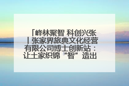 峰林聚智 科创兴张丨张家界旅典文化经营有限公司博士创新站：让土家织锦“智”造出非遗新传奇