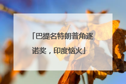 巴提名特朗普角逐诺奖，印度恼火