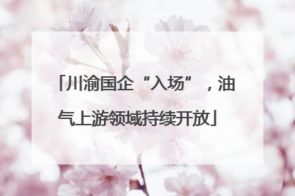川渝国企“入场”，油气上游领域持续开放
