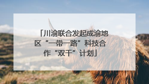 川渝联合发起成渝地区“一带一路”科技合作“双千”计划