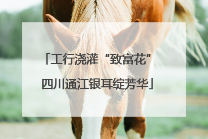 工行浇灌“致富花” 四川通江银耳绽芳华