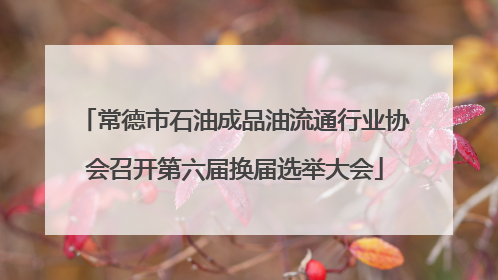 常德市石油成品油流通行业协会召开第六届换届选举大会