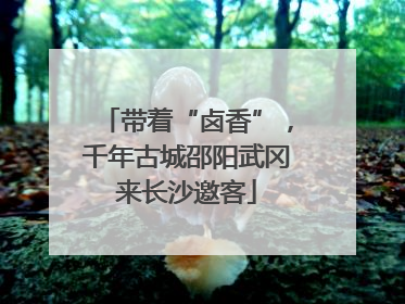 带着“卤香”，千年古城邵阳武冈来长沙邀客