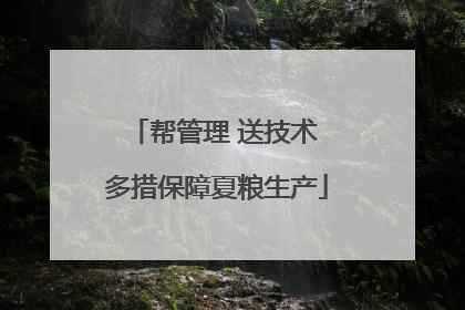 帮管理 送技术 多措保障夏粮生产