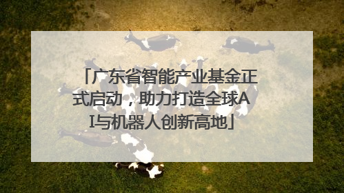 广东省智能产业基金正式启动，助力打造全球AI与机器人创新高地
