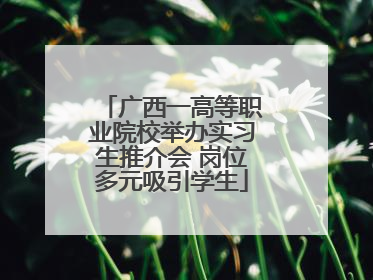 广西一高等职业院校举办实习生推介会 岗位多元吸引学生