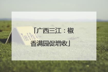 广西三江：椒香满园促增收