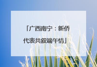 广西南宁：新侨代表共叙端午情