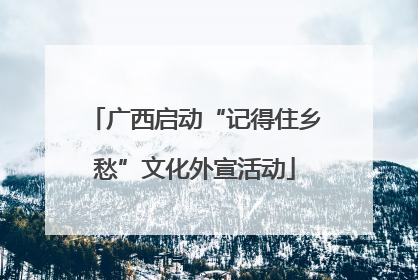 广西启动“记得住乡愁”文化外宣活动