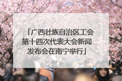 广西壮族自治区工会第十四次代表大会新闻发布会在南宁举行
