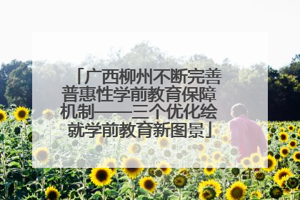广西柳州不断完善普惠性学前教育保障机制——三个优化绘就学前教育新图景