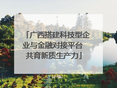 广西搭建科技型企业与金融对接平台 共育新质生产力