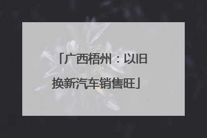 广西梧州：以旧换新汽车销售旺