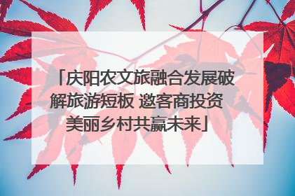 庆阳农文旅融合发展破解旅游短板 邀客商投资美丽乡村共赢未来