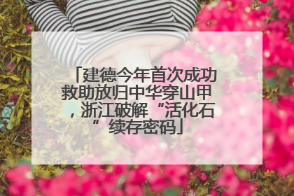 建德今年首次成功救助放归中华穿山甲，浙江破解“活化石”续存密码