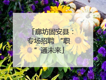 廊坊固安县：专场招聘 “职”通未来