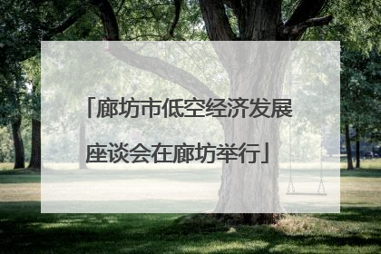 廊坊市低空经济发展座谈会在廊坊举行